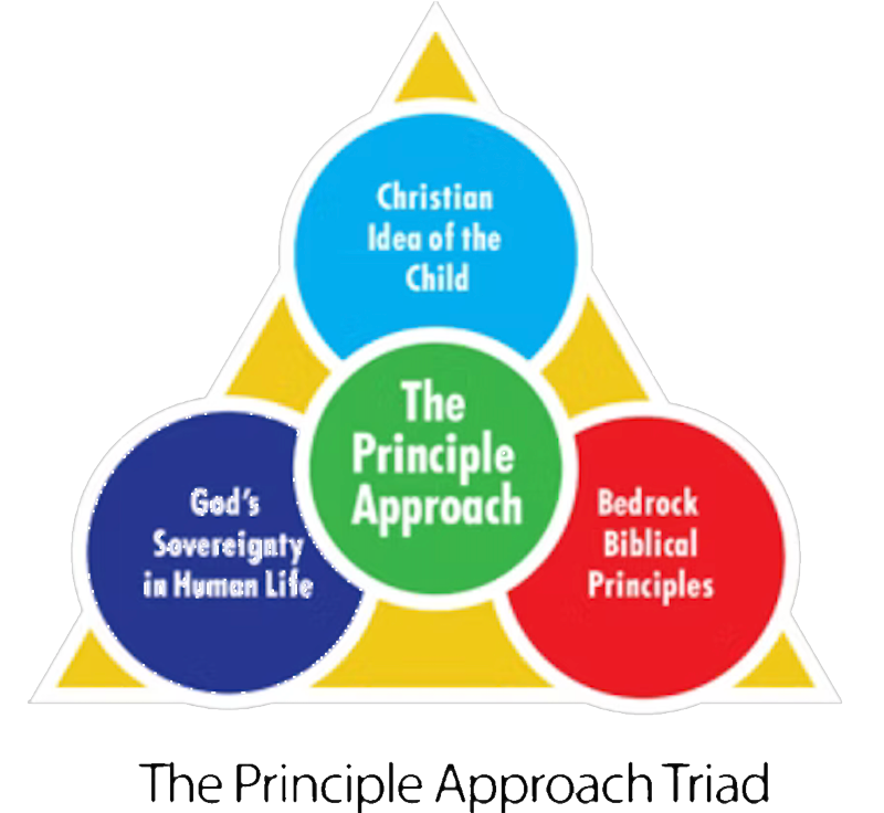 triad image Principle Approach